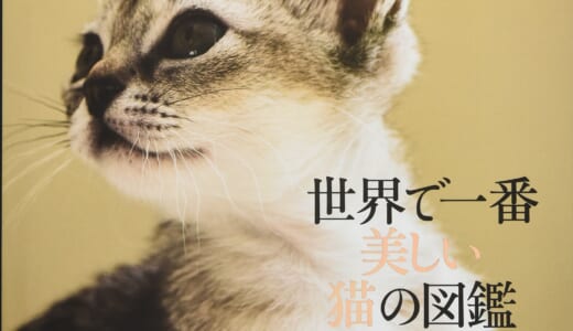 猫を学び猫を愛でる猫好きのための「世界で一番美しい猫の図鑑」