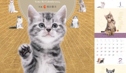 来年のカレンダーもう決めた？猫好きさんにおすすめな人気の猫カレンダー10選（2024年）