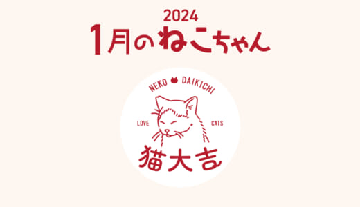 猫大吉（インスタ）でご紹介したねこちゃん（2024年1月）