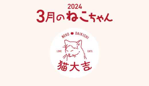 猫大吉（インスタ）でご紹介したねこちゃん（2024年3月）