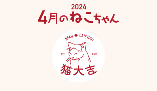 猫大吉（インスタ）でご紹介したねこちゃん（2024年4月）