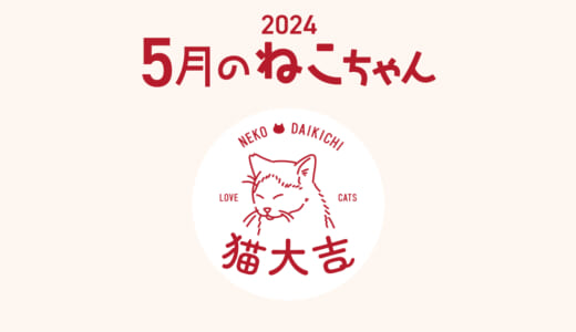 猫大吉（インスタ）でご紹介したねこちゃん（2024年5月）