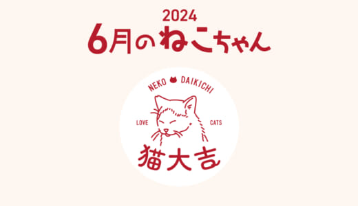 猫大吉（インスタ）でご紹介したねこちゃん（2024年6月）