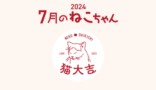 猫大吉（インスタ）でご紹介したねこちゃん（2024年7月）