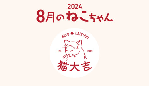 猫大吉（インスタ）でご紹介したねこちゃん（2024年8月）