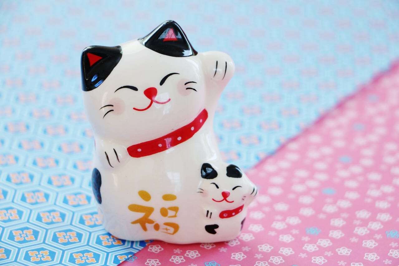 関西の猫好きさん専用 762377_m.jpg