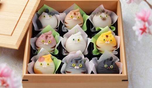 猫好き必見！栃木・真岡の老舗「御菓子司 紅谷三宅」で出会う“にゃんこ和菓子”３選