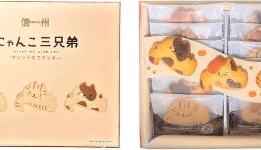 🐾猫好きがワクワクする！遊び心いっぱいの猫スイーツ4選