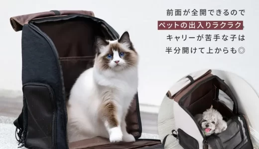 【2025年冬の決定版】安心とおしゃれを両立！この冬注目の最新猫グッズ2選