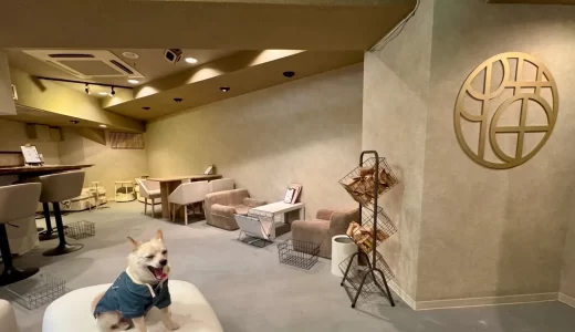 蔵前に新しい夜の居場所「夜音喫茶 猫奈落」オープン　音楽と空間を楽しむバー