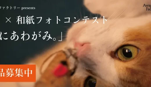 猫と「好きなもの」をテーマにした写真コンテスト「猫にあわがみ。」開催